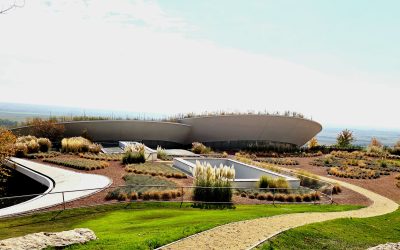 Sauska i Béres : dva lica mađarskog vinskog čuda