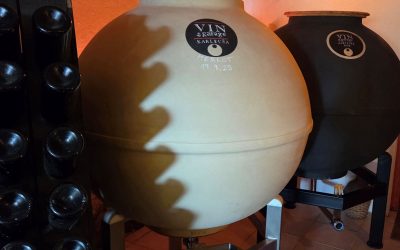 „Okusi koji sazrijevaju u amforama – svijet vinarije Karleuša“