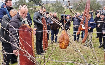 Vincekovo u Pavlomiru