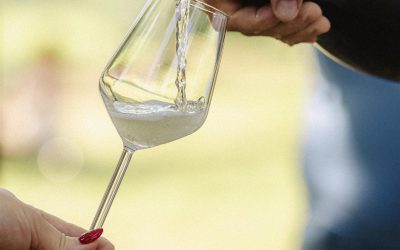 Pjenušavi doručak u vinogradu