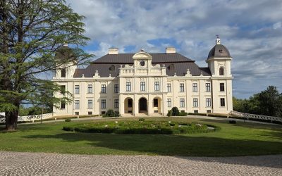 Graševina kao hrvatski vinski identitet